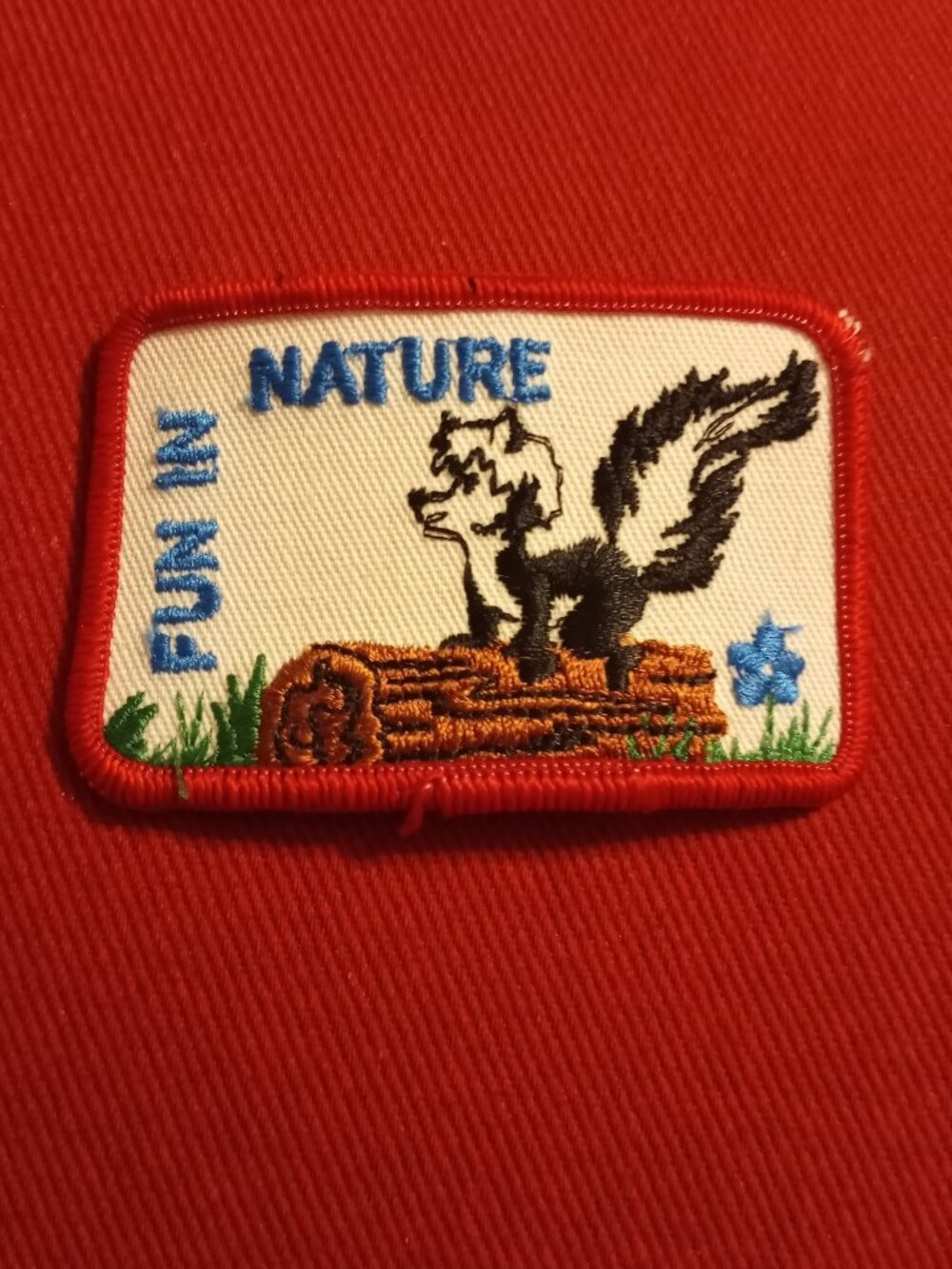 Fun In Nature Skunk on a Log Girl Scouts embroidered patch applique